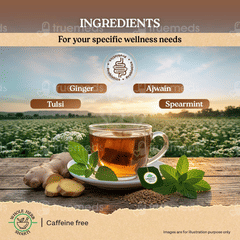 Organic India Revitalise Gut Tea Bags 25